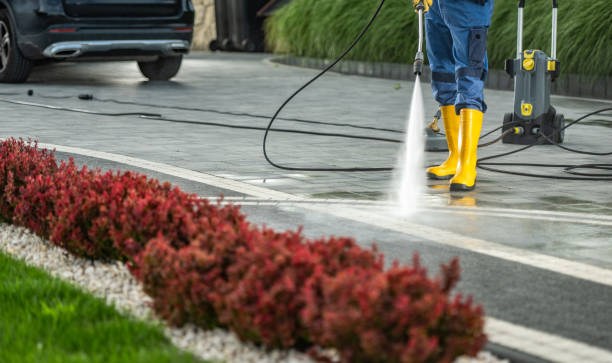 Best Best Pressure Washing Companies  in Waynesboro, GA