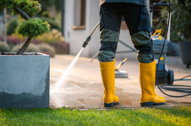Best Deck Cleaning Services  in Waynesboro, GA